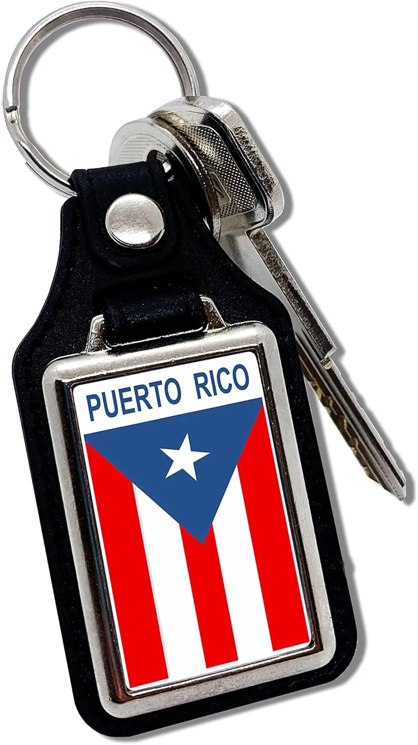 Apedes Country Flags Keychain Key Chain Keyring