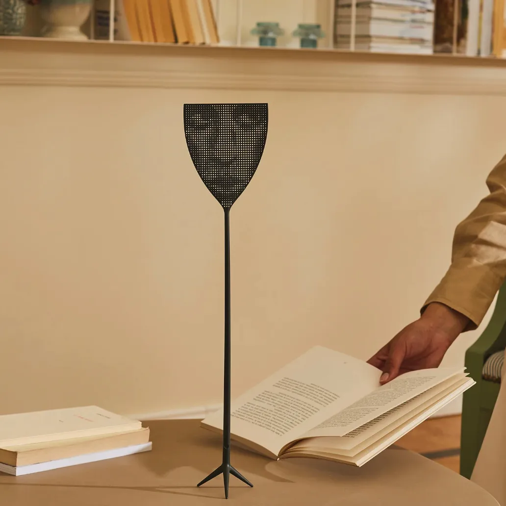 DR SKUD FLY SWATTER